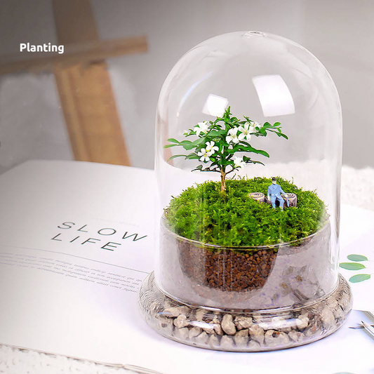 Glass Flower Container