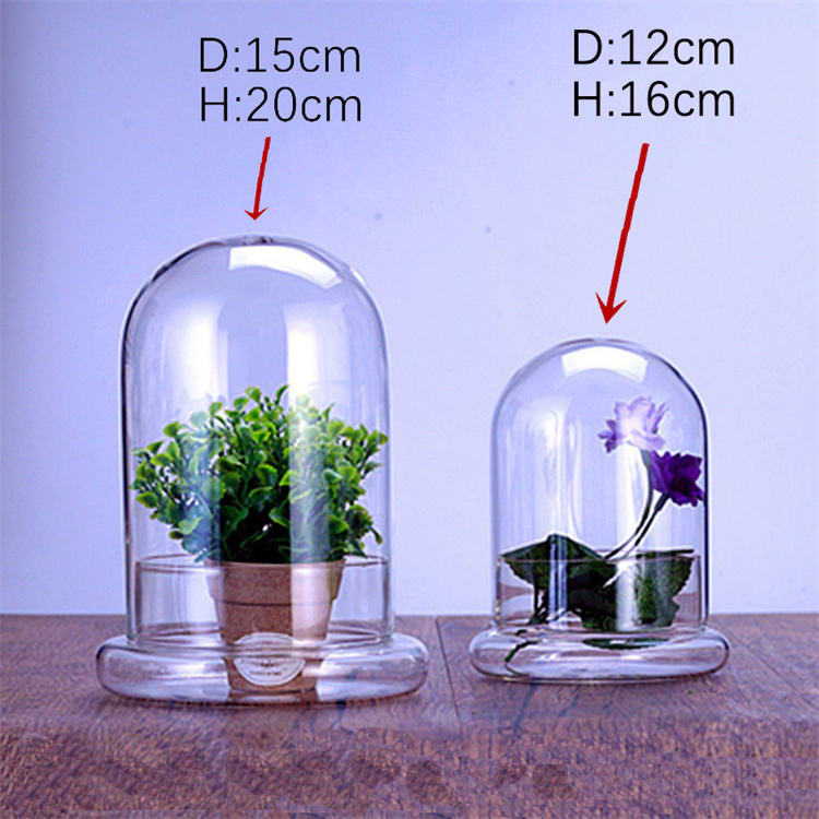 Glass Flower Container