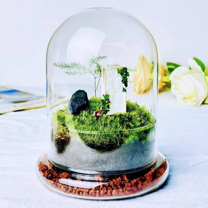 Glass Flower Container