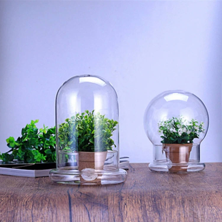 Glass Flower Container