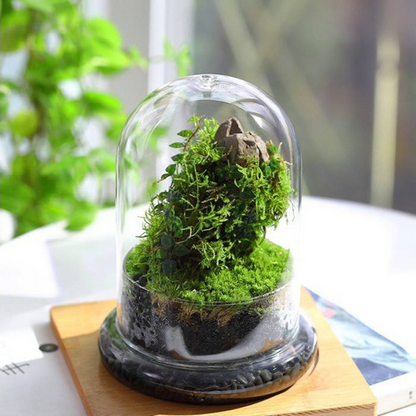 Glass Flower Container