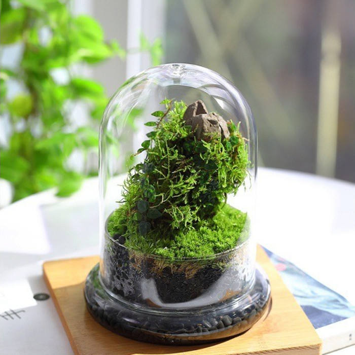 Glass Flower Container