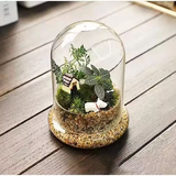 Glass Flower Container