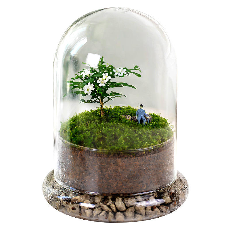 Glass Flower Container