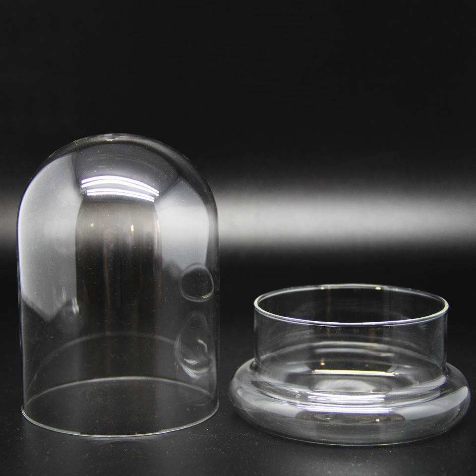 Glass Flower Container