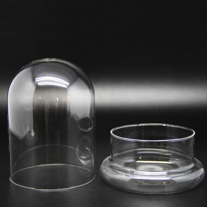 Glass Flower Container