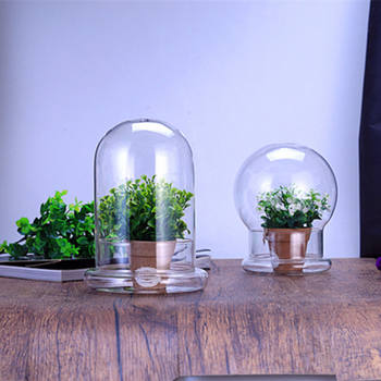 Glass Flower Container