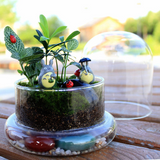 Glass Flower Container