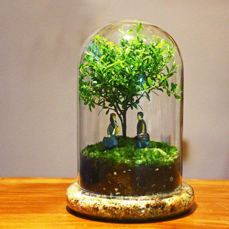 Glass Flower Container