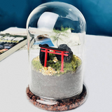 Glass Flower Container