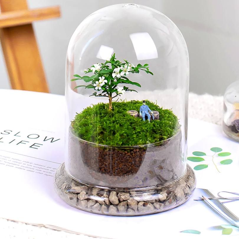 Glass Flower Container
