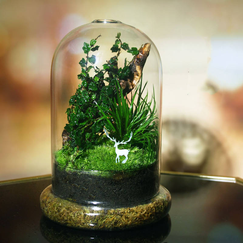 Glass Flower Container