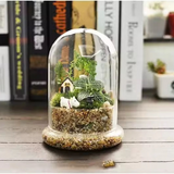 Glass Flower Container