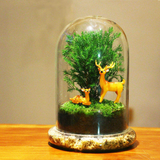 Glass Flower Container