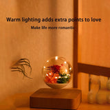 Magnetic Levitating Flower Ornament