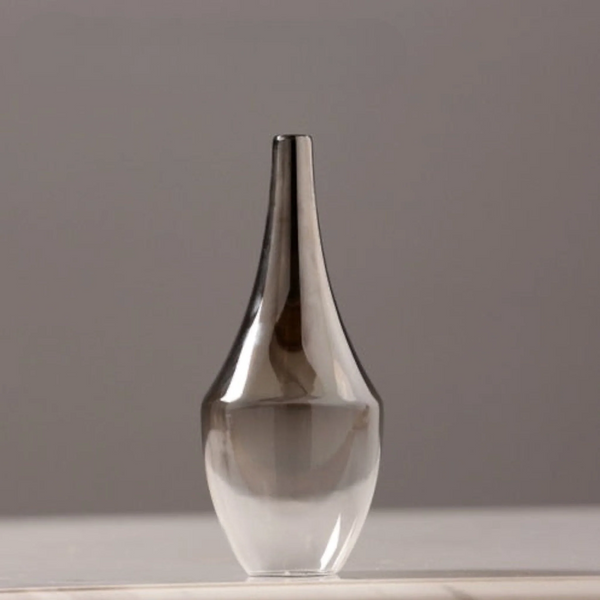Modern Minimalist Glass Flower Vase for Home Decor