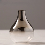Modern Minimalist Glass Flower Vase for Home Decor