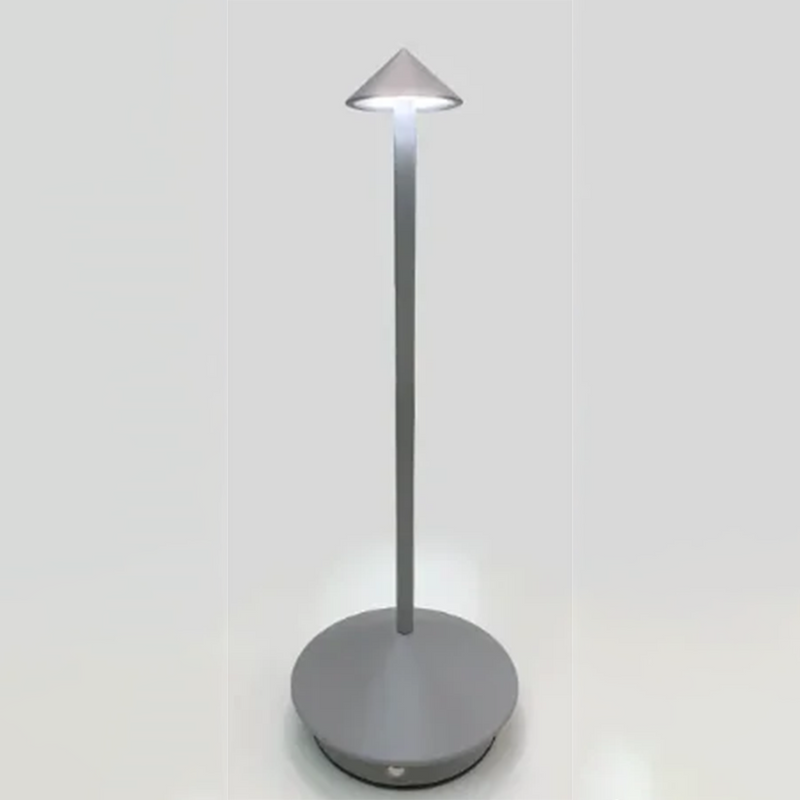 Modern Minimalist LED Table Decor Lamp