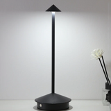 Modern Minimalist LED Table Decor Lamp