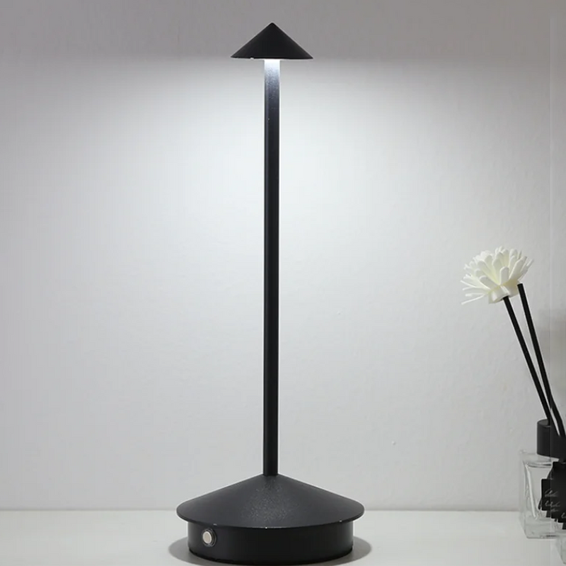 Modern Minimalist LED Table Decor Lamp