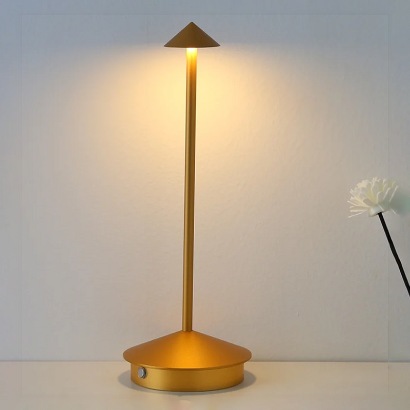 Modern Minimalist LED Table Decor Lamp