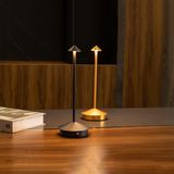 Modern Minimalist LED Table Decor Lamp