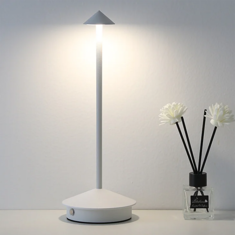 Modern Minimalist LED Table Decor Lamp