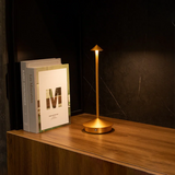 Modern Minimalist LED Table Decor Lamp